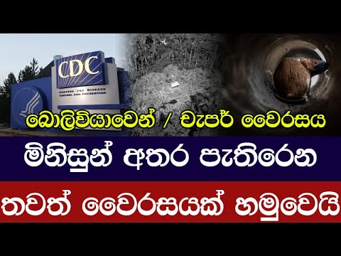 බොලිවියාවෙන් අලුත් අවදානමක්