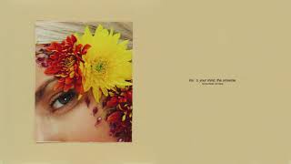 iris — &quot;your mind, the universe&quot; (audio)