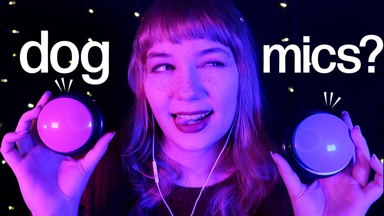 using voice record buttons for dogs to give you tingles (asmr)