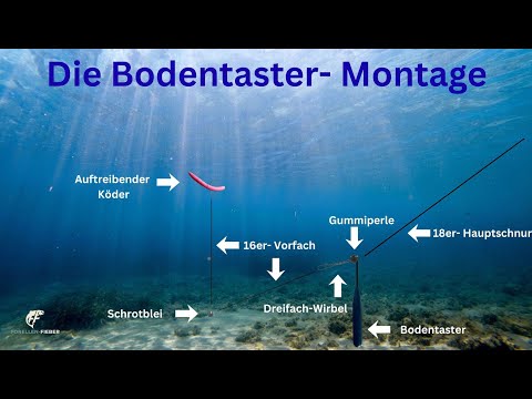 Winterforellen fangen: Bodentaster-Montage einfach erklärt
