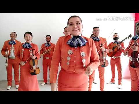 Serenata Sra Luz Marina #3