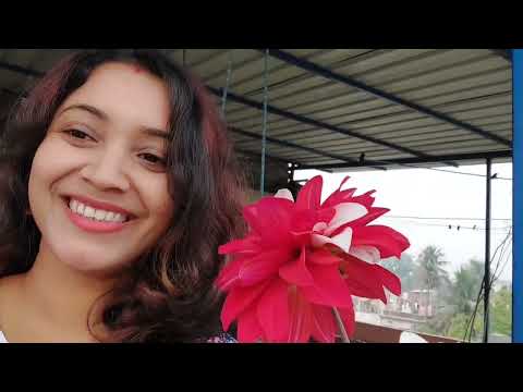 winter garden overview/আমার শীতের বাগান/my rooftop garden#@Torsa Par