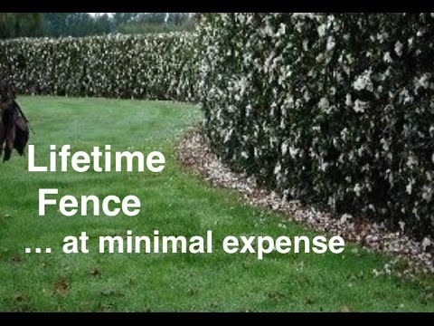 Lifetime Fence: ABC acres- episode #082