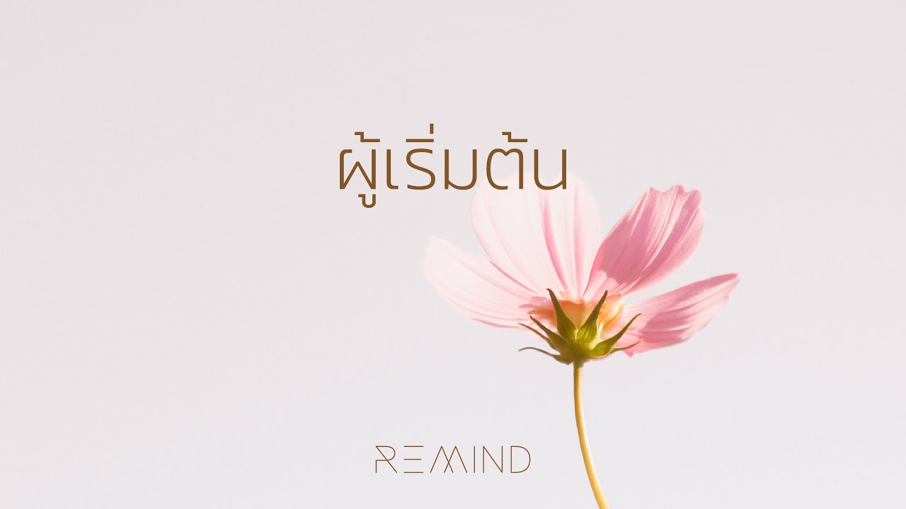 ผู้เริ่มต้น thumbnail