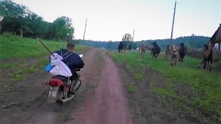 На что ловится хариус в июне