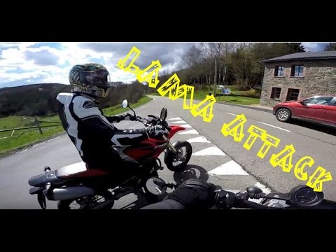 Motovlog #3 Lama attack