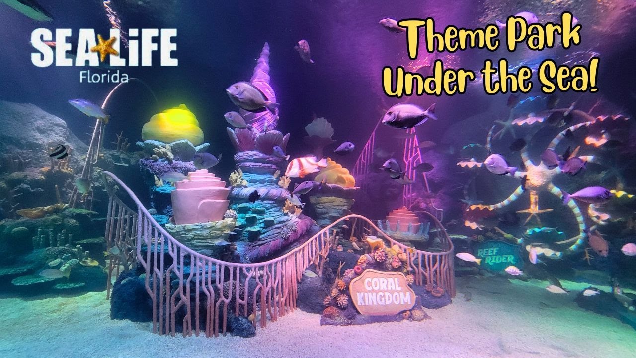 Theme Park Under The Sea? Come Explore The BRAND NEW SEA LIFE Florida With Us!