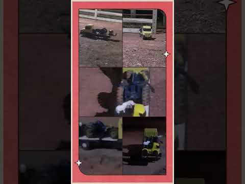 Pau D'arco do Piauí🚚🚚🚚🚚🚚👍🏿👍🏿👍🏿👍🏿