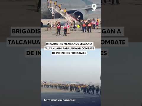 Brigadistas mexicanos llegan a Talcahuano para apoyar combate de incendios forestales