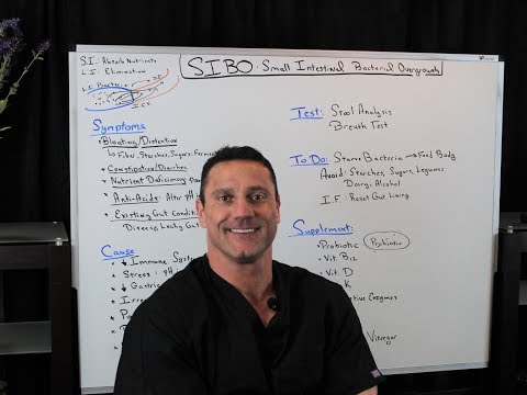 What Is SIBO: Small Intestinal Bacterial Overgrowth.