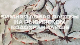 Ловля плотвы на рыбинке зимой