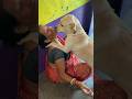 Moti Kissing Mom Dog Pooch Cutepuppy Doglover Puppy Puppyface Dogowner Cute Sweetpuppy F