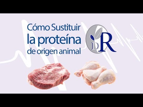 Cómo reemplazar la proteína animal