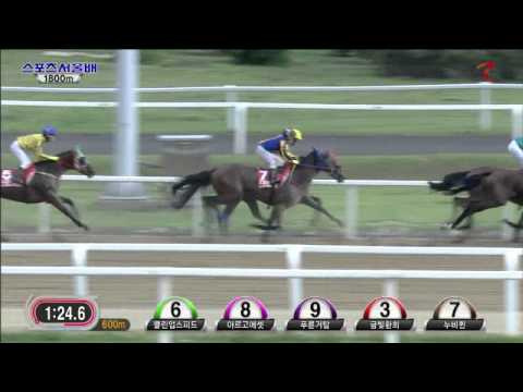 Sports Seoul Cup 2014 - Geumbit Hwanhui