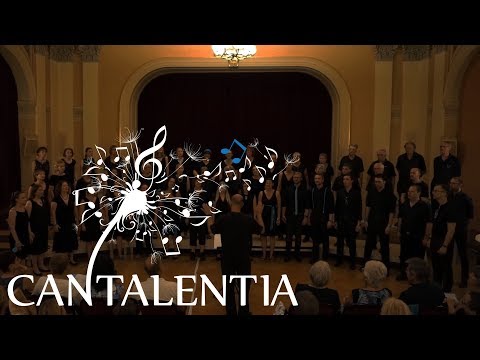 Angels - Robbie Williams, Arr. Oliver Gies I Cantalentia - A cappella Chor