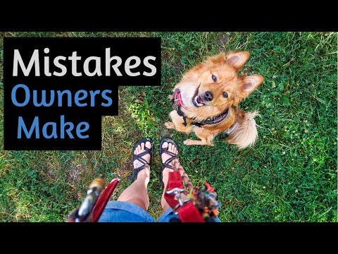 5 COMMON Mistakes New RESCUE DOG OWNERS Make