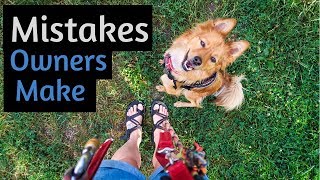 5 COMMON Mistakes New RESCUE DOG OWNERS Make