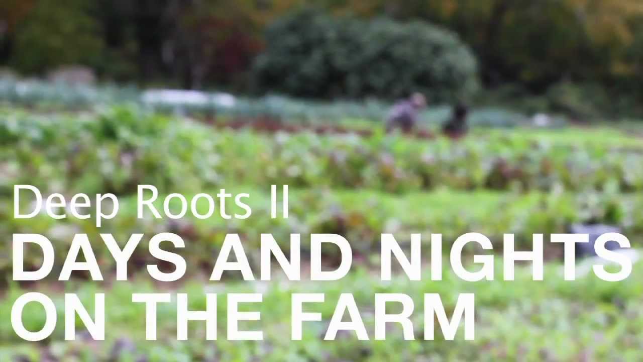 Deep Roots II - (Full Video)