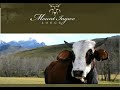 Mount Ingwe Farm Stay Elandsriver South Africa
