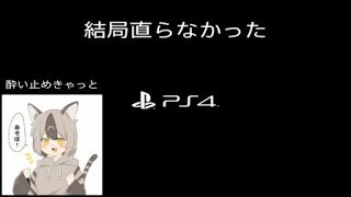 【GTsport】ピットを走りまわるバグ【バグ】