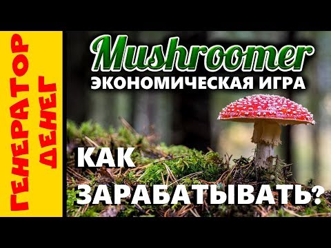 📛 Mushroomer 📛 СКАМ 📛