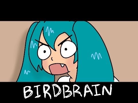 BIRDBRAIN