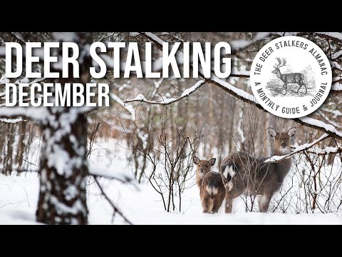 December | Everything you need to know | Deer Stalkers Almanac