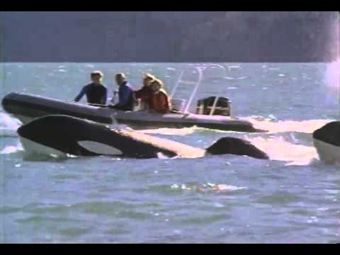 Free Willy 3: The Rescue (1997) Trailer