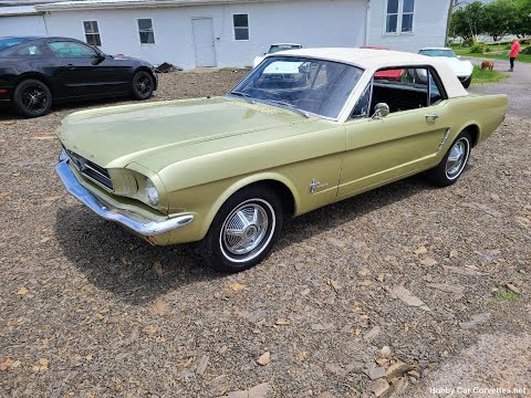 1965 Gold Ford Mustang 3spd For Sale Video
