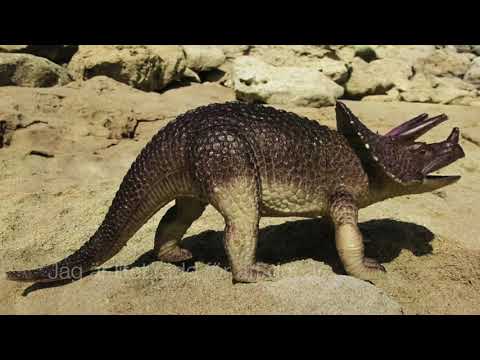 Titta, titta! (singback)