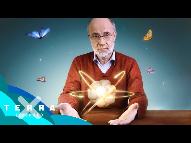 德中Kernkraft的视频发音 德中Kernkraft的视频发音