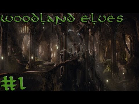 Lets Play The Third Age Total War: Mirkwood Elves Campaign Part 1