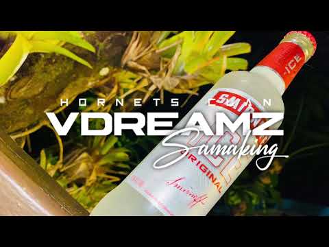 SNOOP x VOCALMAN - OH DANA [ SVG REMIX ] 2021