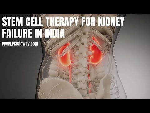 Stem Cell Therapy for Kidney Failure in India