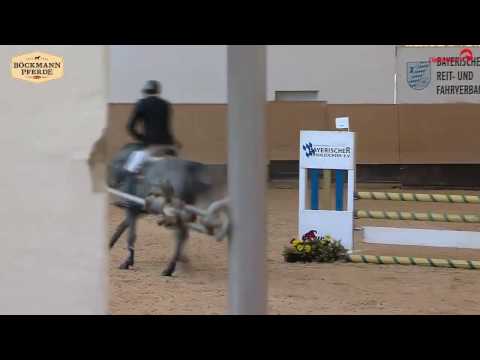 Checkter Sporttest - München/Riem