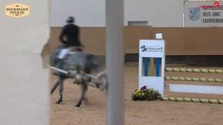 Video di K.i Checkter