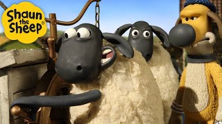 Big Sheep Adventure! 🐑 Shaun the Sheep 🐑 - Cartoons for Kids 🐑 Full Episodes Compilation [1 hour]