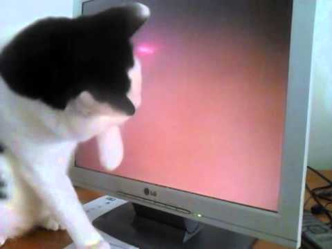 Zully en el ordenador