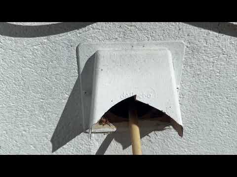 Broken Exhaust Vent Causes a Mice Intrusion in Lincroft, NJ