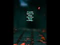 Ne Urangumolaminnum Njan Urangiyillallo WhatsApp Status Vellithira