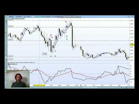 Geomatrix 02/02/2022