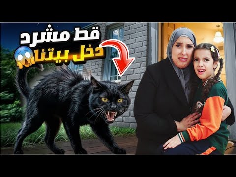 لقينا قط مشرد دخل بيتنا بنص الليل بالغلط مريم وسرى خافوا كثير !! ميمي هوم 