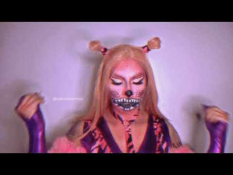 SELVA DE LA MORA - TEMATICA MAKE UP ANIMAL EN ESCUELITA FG3