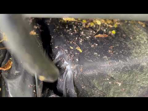 Ants Crawling All Over the Pool Equipment in Sayreville, NJ