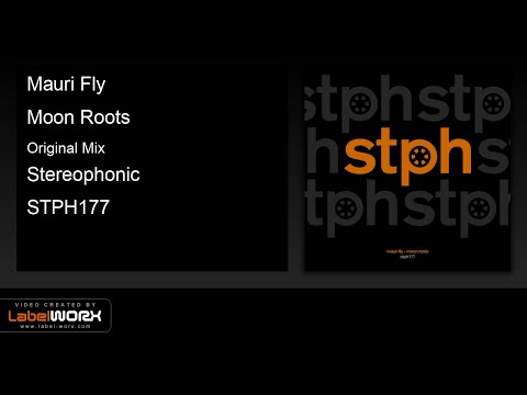 Mauri Fly - Moon Roots (Original Mix)
