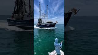 Download lagu Giant fish VS giant boat! 😳 mp3 Download lagu Giant fish VS giant boat! 😳 mp3