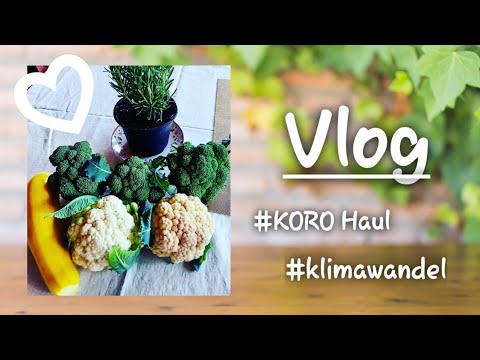 KORO Haul | es wird Philosophisch | HITZEWELLE | Vlog #47 | Lulumee Loves ♡