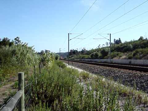 AP 135 - Casal da Relva