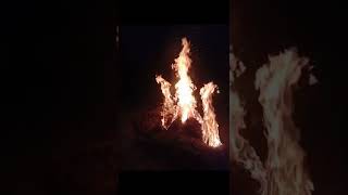 Download lagu #JALBI TOU DAU DAU KORA !! 😥😥💔💔 #good #amazing #lovely #Song 😭😭😓😓😥😥 mp3