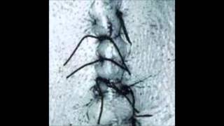 Scheer / Howling Boy (1996)